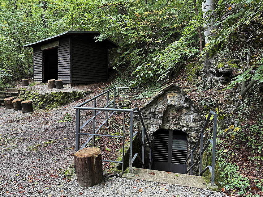 slide 7