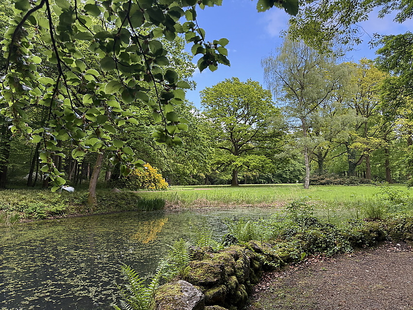 Knoops Park