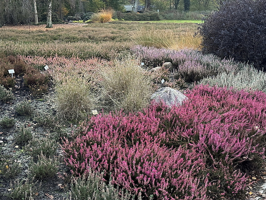 slide 8