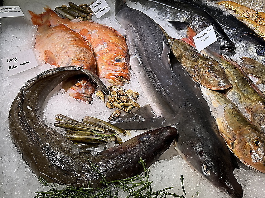 Ausflugstipp: Bremen - 21. fish international (+ 8. GASTRO IVENT)
