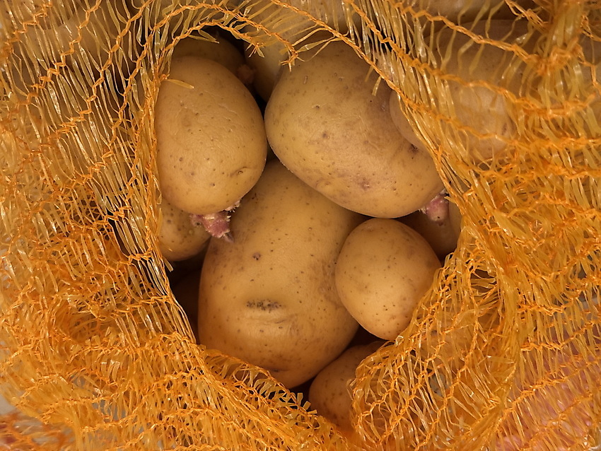Ausflugstipp: Delmenhorst - Kartoffelfest