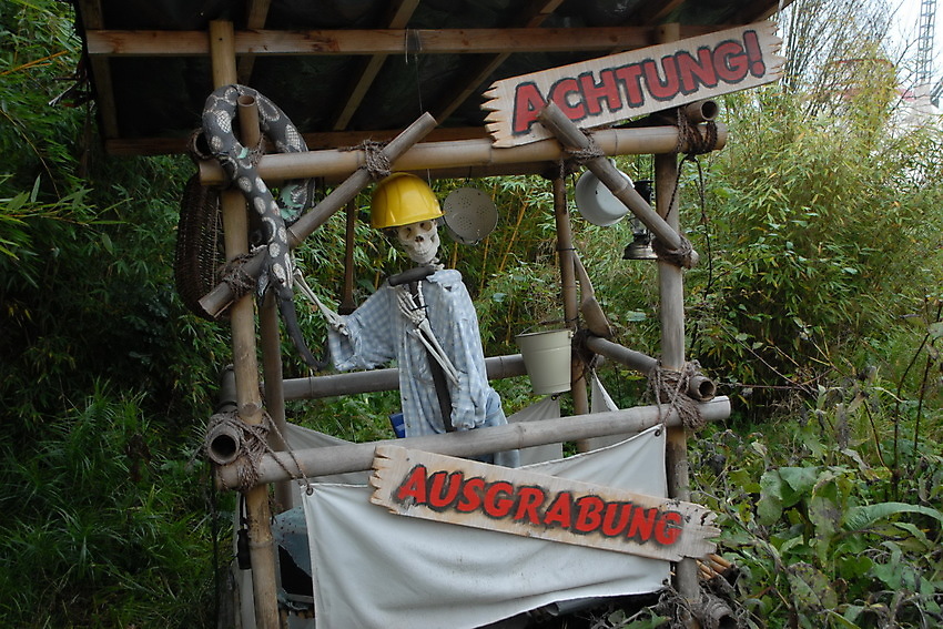Slide 8