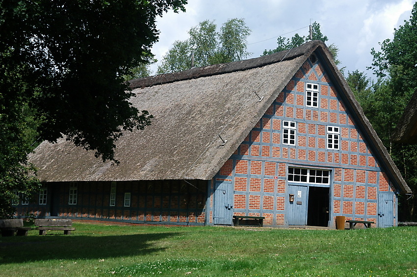 Slide 8